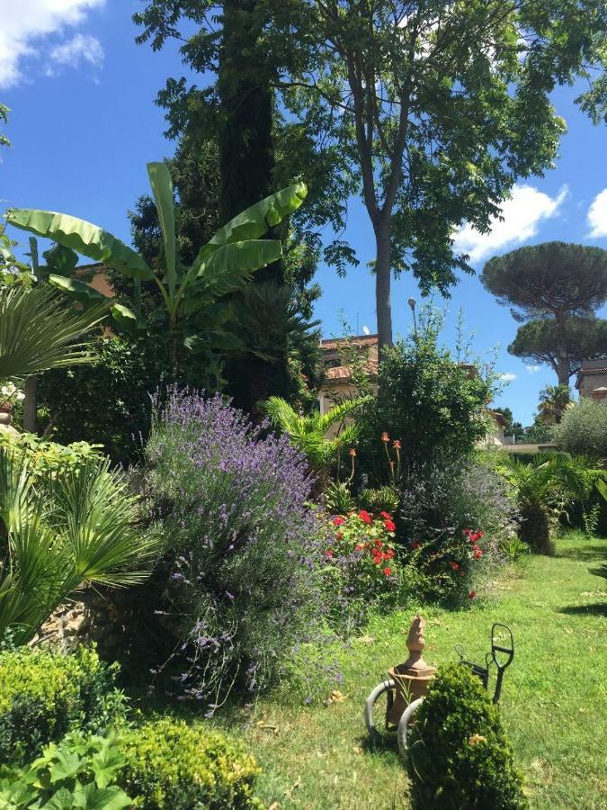 Edy House Daire Castiglione In Teverina Dış mekan fotoğraf